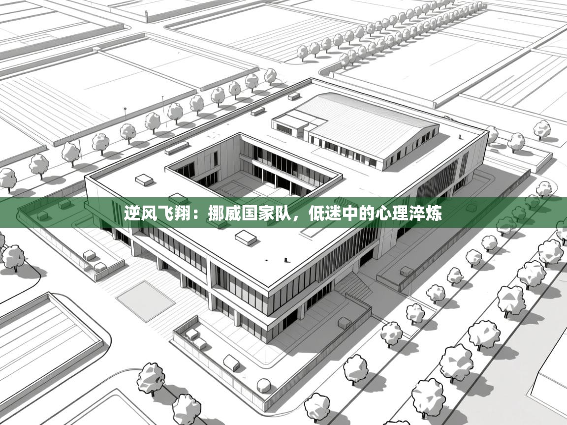 逆风飞翔：挪威国家队，低迷中的心理淬炼  第2张