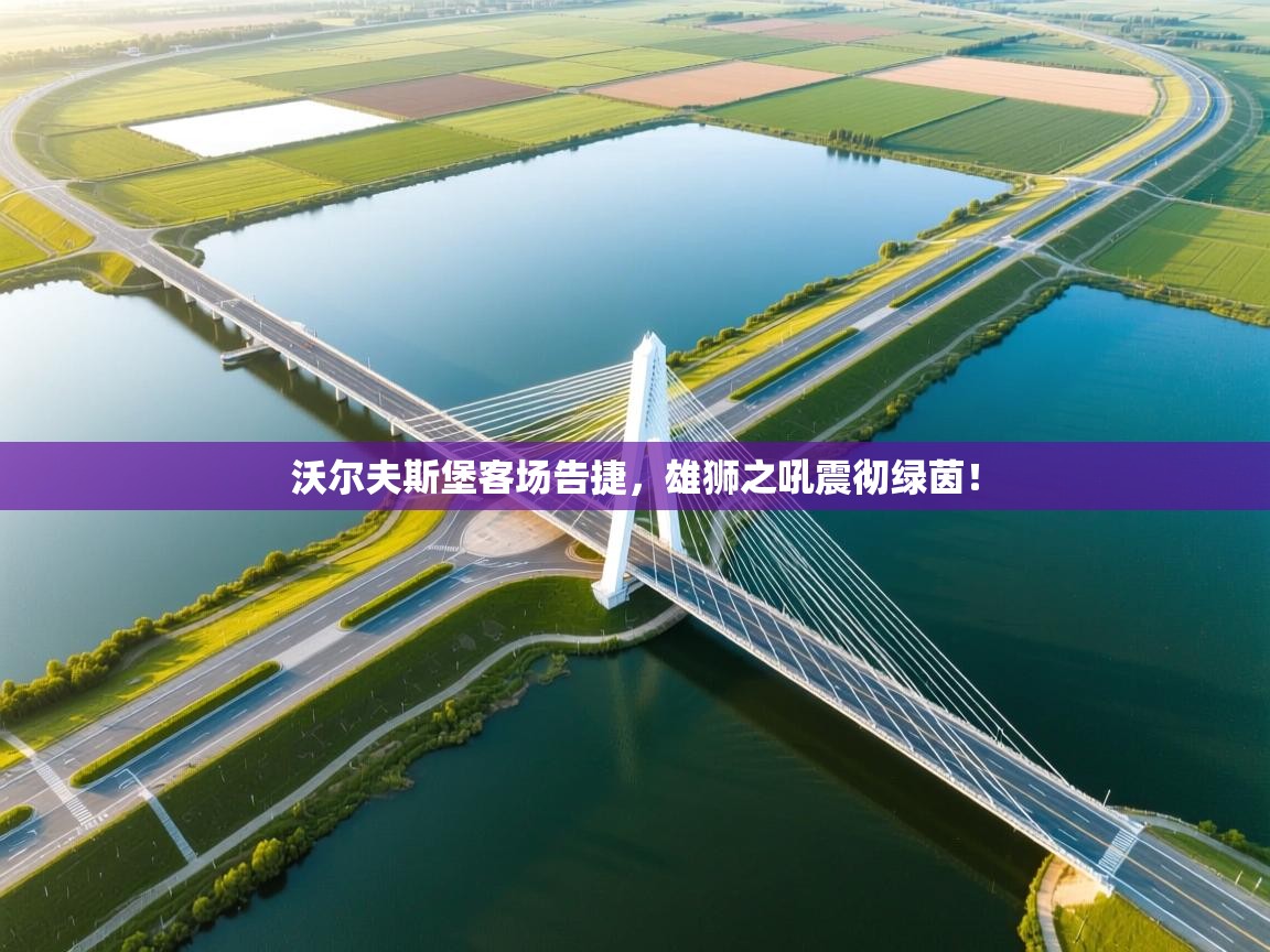 沃尔夫斯堡客场告捷，雄狮之吼震彻绿茵！  第1张